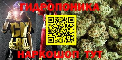 тгк Заводоуковск