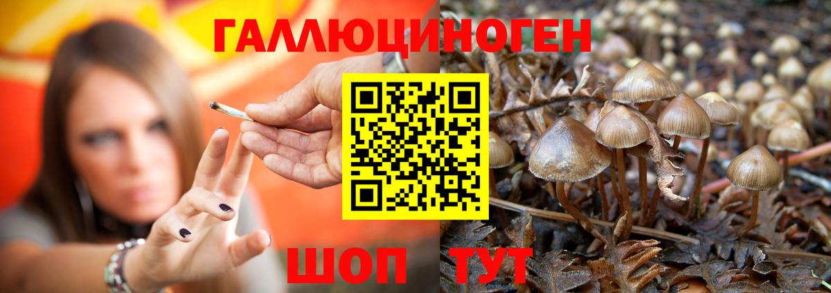 Галлюциногенные грибы мухоморы Нижнекамск